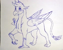 Size: 1024x819 | Tagged: safe, artist:discbreaker100, gallus, griffon, g4, monochrome, sketch, solo, traditional art