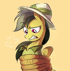 Size: 1080x1102 | Tagged: safe, artist:__regenbogen_, artist:regenbogen, daring do, pegasus, pony, g4, annoyed, bondage, bound wings, clothes, female, gritted teeth, hat, pith helmet, rope, rope bondage, shirt, simple background, snorting, tied up, wings