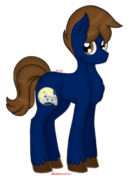 Size: 720x960 | Tagged: safe, artist:madlilon2051, oc, oc only, earth pony, pony, chest fluff, earth pony oc, simple background, smiling, solo, transparent background, unshorn fetlocks