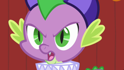 Size: 1280x720 | Tagged: safe, screencap, spike, dragon, g4, hearth's warming eve (episode), season 2, angry, close-up, looking at you, male, open mouth, solo