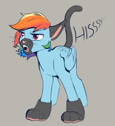 Size: 908x1001 | Tagged: safe, artist:silentwulv, rainbow dash, pegasus, pony, g4, animal costume, behaving like a cat, cat costume, cat ears, cat tail, clothes, costume, face mask, female, hissing, mask, paw gloves, rainbow cat, simple background, solo, tail, text, whiskers