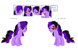 Size: 1144x825 | Tagged: safe, artist:sapphirescarletta, oc, oc only, earth pony, pony, base used, earth pony oc, female, mare, reference sheet, smiling