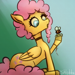 Size: 900x900 | Tagged: safe, artist:shlobba, fluttershy, bee, insect, pegasus, pony, g4, :o, alternate hairstyle, choker, curly mane, female, folded wings, open mouth, raised hoof, sitting, solo, tail, wings