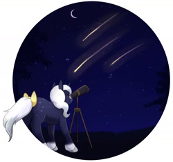 Size: 2108x1972 | Tagged: safe, artist:foxhatart, oc, oc only, oc:moonlight, pony, unicorn, bow, female, high res, mare, partial background, shooting star, solo, tail, tail bow, telescope
