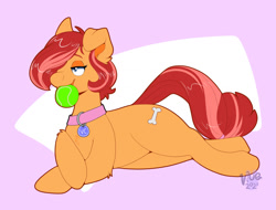 Size: 1280x973 | Tagged: safe, artist:maynara, oc, oc only, oc:peaches(maynara), earth pony, pony, abstract background, ball, collar, crossed hooves, female, hair over one eye, lying down, mouth hold, pet play, pet tag, pony pet, solo, tennis ball