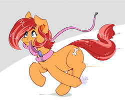 Size: 1280x1041 | Tagged: safe, artist:maynara, oc, oc only, oc:peaches(maynara), earth pony, pony, abstract background, chest fluff, collar, eye clipping through hair, female, leash, mouth hold, pet play, pet tag, pony pet, running, solo, speed lines