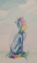 Size: 631x1080 | Tagged: safe, artist:yanisfucker, rainbow dash, pegasus, pony, g4, colored pencil drawing, female, folded wings, looking away, mare, pencil drawing, rear view, sitting, sketch, solo, traditional art, windswept mane, wings