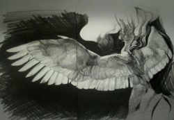 Size: 1280x884 | Tagged: safe, artist:yanisfucker, princess celestia, alicorn, pony, g4, female, grayscale, large wings, mare, monochrome, pencil drawing, sketch, solo, spread wings, traditional art, wings