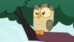 Size: 1280x720 | Tagged: safe, screencap, owlowiscious, bird, owl, g4, inspiration manifestation, season 4, looking at something, solo, tree, tree branch