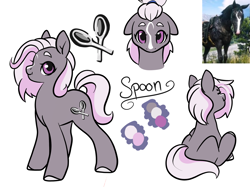 Size: 2402x1800 | Tagged: safe, artist:damayantiarts, oc, oc only, oc:spoon, earth pony, pony, bust, colored hooves, earth pony oc, female, mare, reference sheet, scissors, sitting, smiling