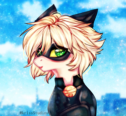 Size: 3689x3400 | Tagged: safe, artist:krissstudios, pony, adrien agreste, chat noir, high res, male, miraculous ladybug, ponified, solo