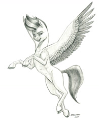 Size: 1000x1279 | Tagged: safe, artist:baron engel, zipp storm, pegasus, pony, g5, my little pony: a new generation, belly, belly button, colored hooves, concave belly, female, flying, grayscale, hooves, looking at you, mare, monochrome, pencil drawing, ribcage, simple background, slender, solo, spread wings, thin, traditional art, unshorn fetlocks, white background, wings