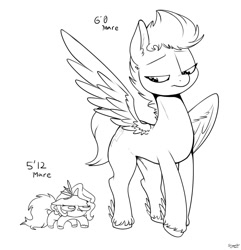 Size: 1350x1400 | Tagged: safe, artist:skoon, pipp petals, zipp storm, pegasus, pony, g5, duo, female, grumpy, height supremacy, lineart, looking down, manlet, mare, marelet, monochrome, pipp is short, ponelet, siblings, simple background, sisters, size comparison, smol, squatpony, unshorn fetlocks, white background, wings