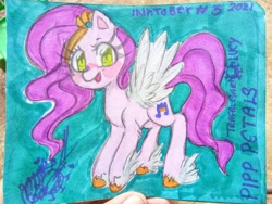 Size: 2048x1536 | Tagged: safe, artist:trafalgarlucy, pipp petals, pegasus, pony, g5, adorapipp, cute, solo, traditional art