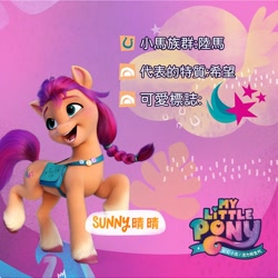 Size: 2048x2048 | Tagged: safe, sunny starscout, earth pony, pony, g5, my little pony: a new generation, official, chinese, high res, name translation, solo