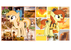 Size: 1280x906 | Tagged: safe, artist:tenderrain-art, oc, oc only, earth pony, pegasus, pony, female, mare, moodboard