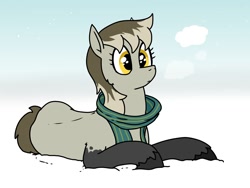 Size: 1600x1200 | Tagged: oc name needed, safe, artist:pony quarantine, oc, oc only, earth pony, pony, yakutian horse, breath, clothes, coat markings, female, lying down, mare, prone, scarf, snow, snow mare, socks (coat markings), solo