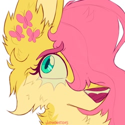 Size: 2000x2000 | Tagged: safe, artist:wutanimations, part of a set, fluttershy, wolf, alternative cutie mark placement, bust, cheek fluff, chest fluff, ear fluff, fluffy, flutterwolf, hair over one eye, high res, simple background, solo, species swap, white background, wolfified