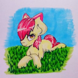 Size: 1024x1024 | Tagged: safe, artist:alwayspony, apple bloom, earth pony, pony, g4, female, filly, grass, hair over one eye, solo, traditional art