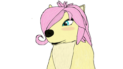 Size: 1920x1080 | Tagged: safe, artist:jhilton0907, fluttershy, wolf, g4, alpha and omega, blushing, lilly (alpha and omega), simple background, solo, species swap, transparent background, wolfified