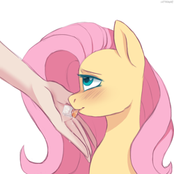 Size: 2200x2200 | Tagged: safe, artist:cottonaime, fluttershy, human, pegasus, pony, g4, blushing, cute, hand, high res, horses doing horse things, looking up, shyabetes, simple background, solo, sugarcube, white background