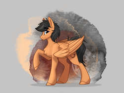 Size: 2048x1536 | Tagged: safe, artist:alrumoon_art, oc, oc only, pegasus, pony, abstract background, solo