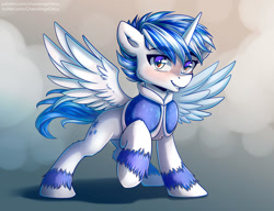 Size: 1323x1015 | Tagged: safe, artist:chaosangeldesu, oc, oc only, oc:winter wind, alicorn, pony, commission, male, solo, stallion