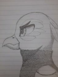 Size: 3000x4000 | Tagged: safe, artist:mustaphatr, oc, oc only, oc:iovinius eyrie, griffon, equestria at war mod, armor, chainmail, lined paper, solo, traditional art