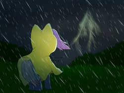 Size: 1600x1197 | Tagged: safe, artist:minimalistichipster, artist:rottenthemaker, oc, oc only, pony, bush, clothes, cloud, cloudy, grass, lightning, outdoors, rain, raincoat, solo, storm, unknown pony, wind, windswept mane