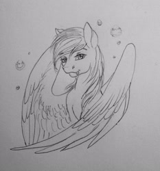 Size: 2395x2570 | Tagged: safe, artist:crazyaniknowit, derpy hooves, pony, g4, bust, high res, monochrome, portrait, solo, traditional art