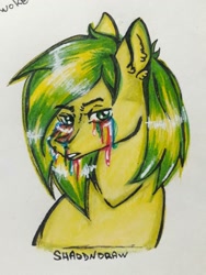 Size: 774x1032 | Tagged: safe, artist:shaddndraw, oc, oc only, earth pony, pony, bust, crying, liquid rainbow, male, rainbow tears, solo, traditional art