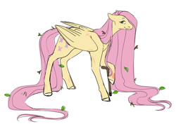 Size: 1280x973 | Tagged: safe, artist:spartalabouche, fluttershy, pegasus, pony, g4, cane, cutie mark, female, leaves, leaves in hair, scar, simple background, smiling, solo, twigs, white background, wings