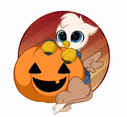 Size: 3670x3387 | Tagged: safe, artist:kittyrosie, part of a set, oc, oc only, griffon, commission, cute, griffon oc, halloween, high res, holiday, ocbetes, pumpkin, solo, starry eyes, wingding eyes, ych result