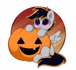 Size: 3670x3387 | Tagged: safe, artist:kittyrosie, part of a set, oc, oc only, pegasus, pony, commission, cute, halloween, high res, holiday, ocbetes, pumpkin, solo, starry eyes, wingding eyes, ych result