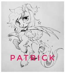 Size: 1080x1206 | Tagged: safe, artist:paipaishuaige, oc, oc only, pegasus, pony, obtrusive watermark, solo, watermark