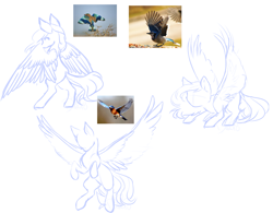 Size: 2769x2165 | Tagged: safe, artist:daringpineapple, oc, oc only, pegasus, pony, high res, sketch, spread wings, wings