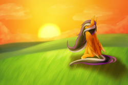 Size: 3000x2000 | Tagged: safe, artist:ermy-poo, pegasus, pony, grass, high res, sitting, solo, sunset