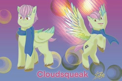 Size: 1772x1181 | Tagged: safe, artist:shacy's pagelings, oc, oc only, oc:cloudsqueak, pegasus, pony, abstract background, clothes, colored hooves, colored wings, flying, original art, reference, scarf, standing, unshorn fetlocks, wings