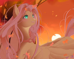 Size: 2303x1856 | Tagged: safe, artist:clefficia, fluttershy, pony, g4, solo, sun