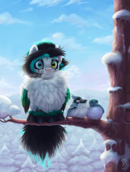 Size: 900x1200 | Tagged: safe, artist:gor1ck, oc, oc only, oc:crystal payne, bird, pegasus, pony, behaving like a bird, chest fluff, cloud, cold, commission, ear piercing, fluffy, fluffy tail, heterochromia, in a tree, piercing, sky, snow, solo, tail, tree, tree branch, winter, ych result
