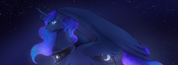 Size: 3692x1349 | Tagged: safe, artist:whippyberry, princess luna, alicorn, pony, g4, curved horn, female, horn, night, solo