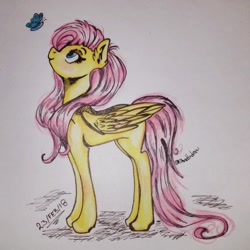 Size: 540x540 | Tagged: safe, artist:shaddndraw, fluttershy, butterfly, pegasus, pony, g4, female, solo, traditional art