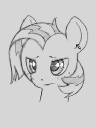 Size: 646x861 | Tagged: safe, artist:trickydick, babs seed, earth pony, pony, g4, bust, ear piercing, earring, female, filly, freckles, jewelry, monochrome, piercing, portrait, sketch, solo
