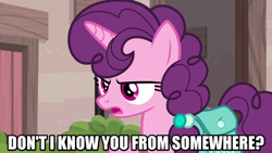 Size: 1280x720 | Tagged: safe, edit, edited screencap, editor:jaredking779, screencap, sugar belle, pony, unicorn, g4, hard to say anything, caption, female, image macro, mare, meme, text