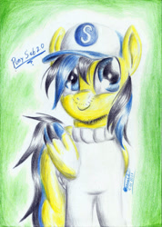 Size: 1659x2333 | Tagged: safe, artist:3500joel, oc, oc only, pegasus, pony, baseball cap, cap, clothes, hat, male, pegasus oc, solo, traditional art