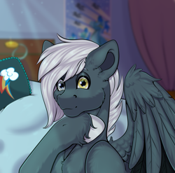 Size: 1575x1556 | Tagged: safe, artist:creed larsen, oc, oc:tempest streamrider, pegasus, pony, fluffy, heterochromia, hoof shoes, looking at you, male, room, wings