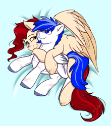 Size: 2476x2820 | Tagged: safe, artist:shamy-crist, oc, oc only, pegasus, pony, female, high res, mare, plushie, solo