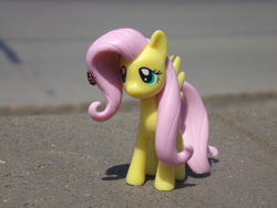 Size: 2048x1536 | Tagged: safe, artist:dingopatagonico, fluttershy, insect, ladybug, pony, g4, irl, photo, solo, toy