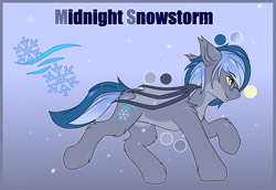 Size: 2900x2000 | Tagged: safe, artist:snowstormbat, oc, oc only, oc:midnight snowstorm, bat pony, pony, bat wings, chest fluff, cutie mark, ear fluff, eyebrows, eyebrows visible through hair, fangs, floppy ears, folded wings, glasses, gradient background, high res, hoof fluff, male, reference sheet, running, shoulder fluff, smiling, snow, solo, stallion, wings
