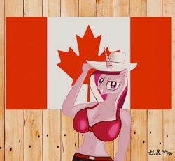 Size: 1021x942 | Tagged: safe, artist:goldstone3242, princess cadance, anthro, g4, breasts, busty princess cadance, cowgirl, female, flag, hat, patriot, solo